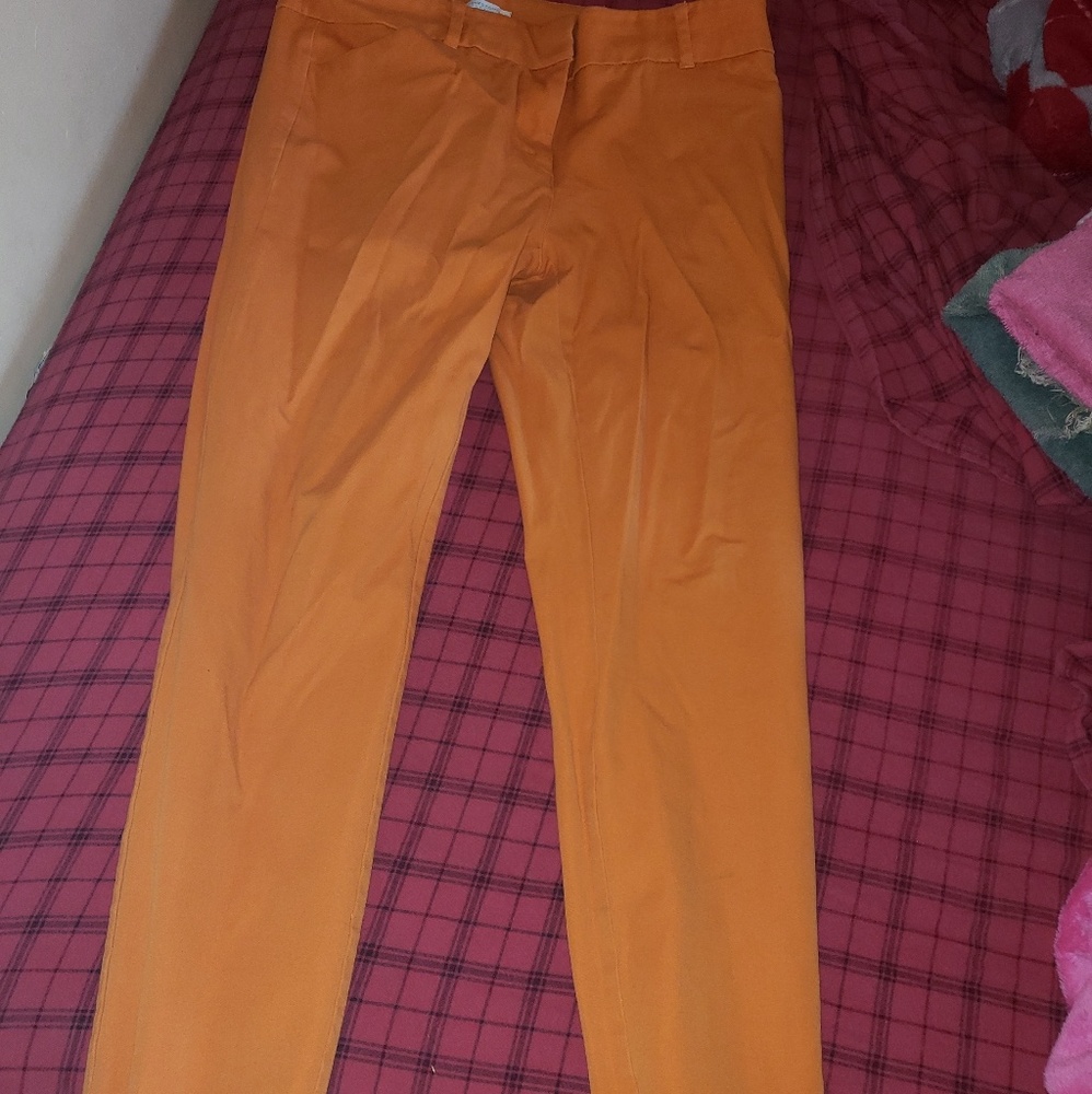 Work pants